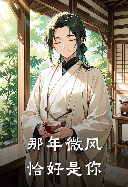那年微风，恰好是你
