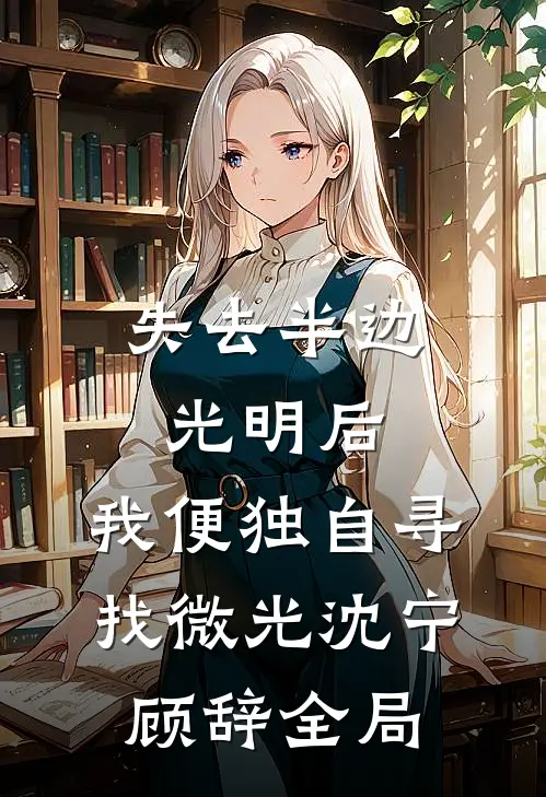 失去半边光明后，我便独自寻找微光沈宁顾辞全局