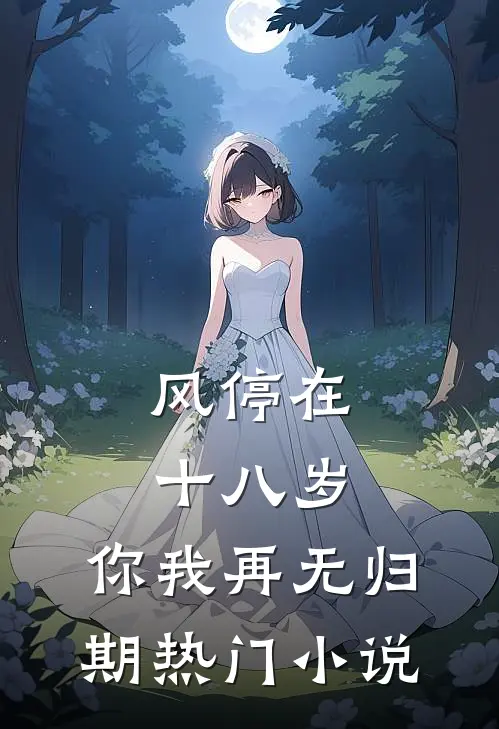 风停在十八岁，你我再无归期热门小说