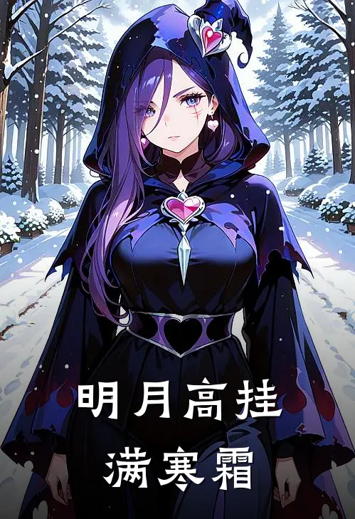 明月高挂满寒霜