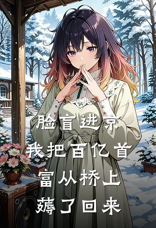 脸盲进京：我把百亿首富从桥上薅了回来