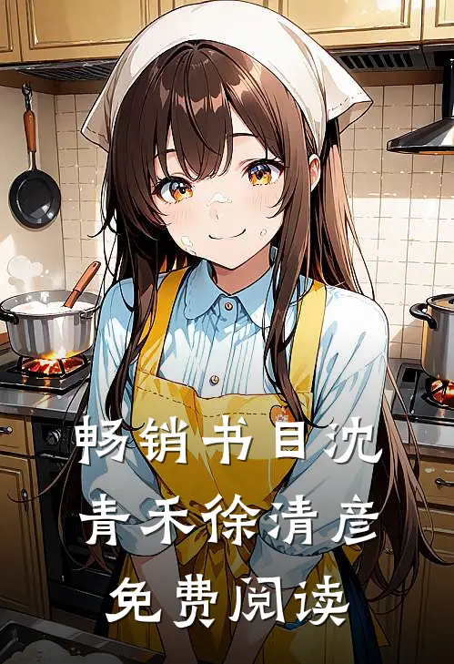 畅销书目沈青禾徐清彦免费阅读