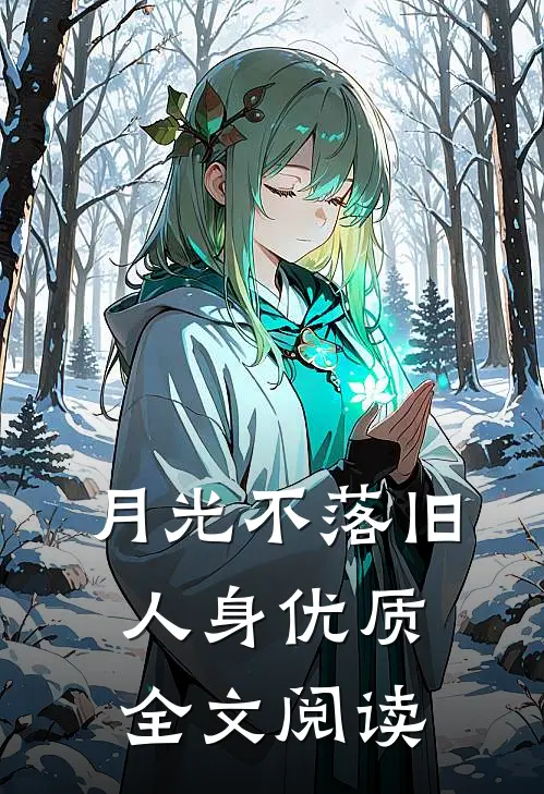 月光不落旧人身优质全文阅读