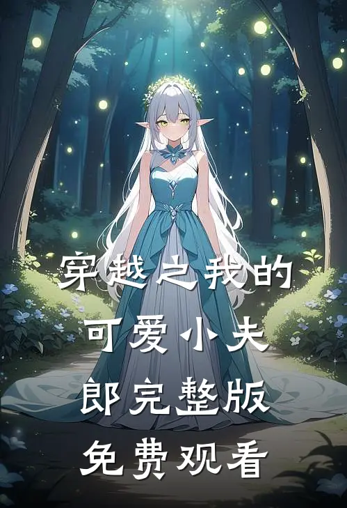 穿越之我的可爱小夫郎完整版免费观看