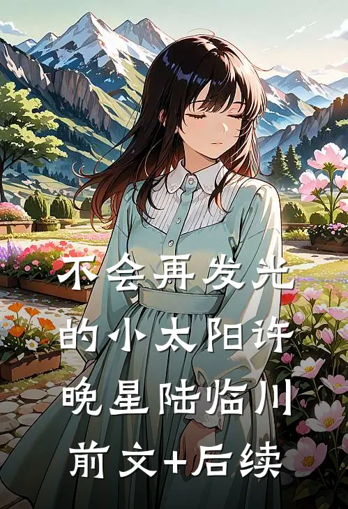 不会再发光的小太阳许晚星陆临川前文+后续