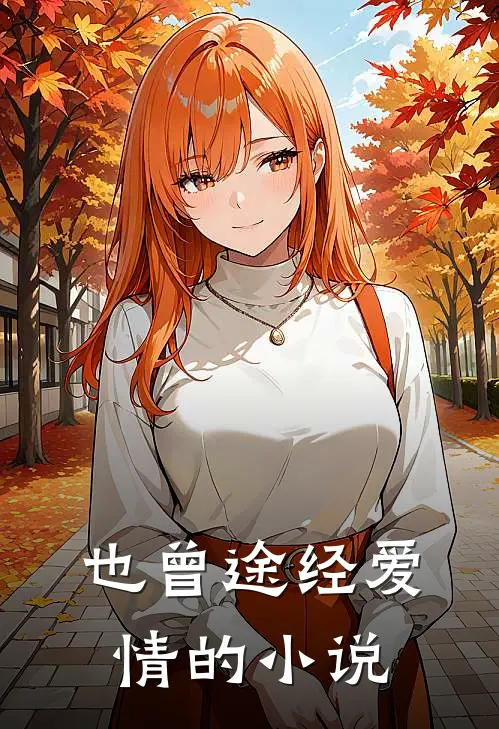也曾途经爱情的小说