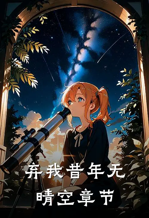 弃我昔年无晴空章节