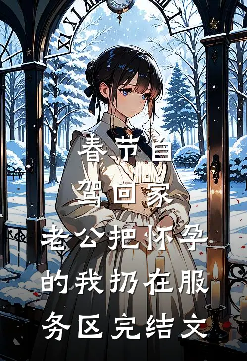 春节自驾回家，老公把怀孕的我扔在服务区完结文