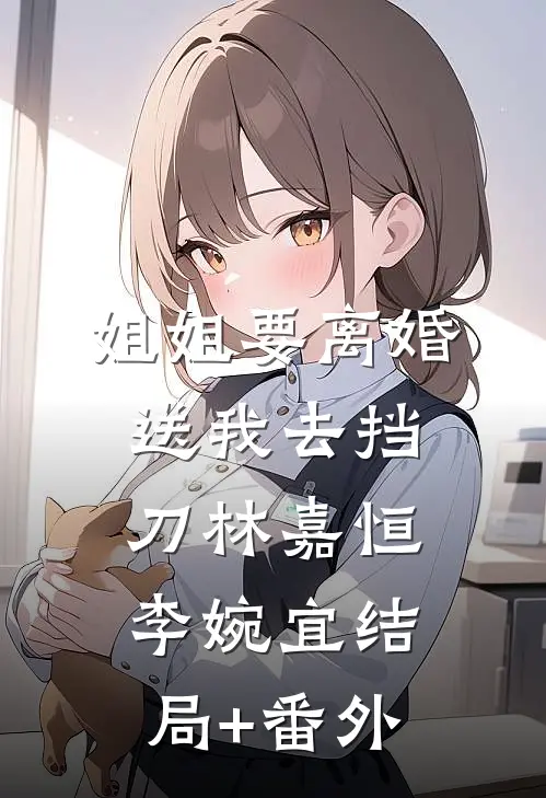 姐姐要离婚，送我去挡刀林嘉恒李婉宜结局+番外
