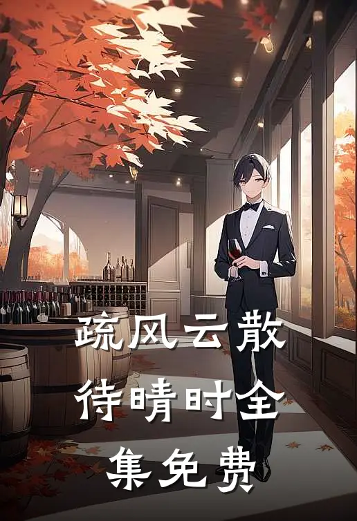 疏风云散待晴时全集免费