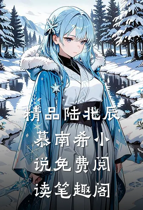 精品陆北辰慕南希小说免费阅读笔趣阁