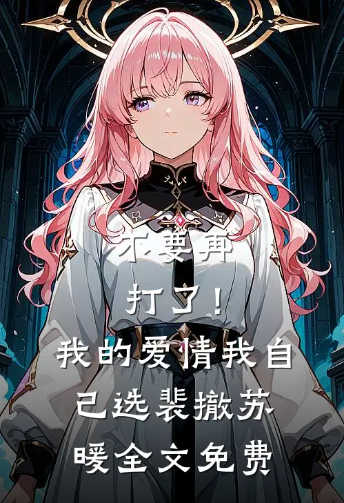 不要再打了！我的爱情我自己选裴撤苏暖全文免费