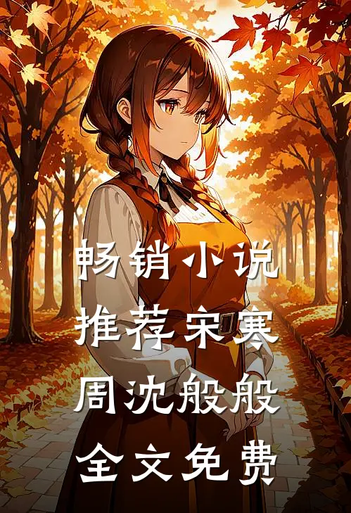 畅销小说推荐宋寒周沈般般全文免费