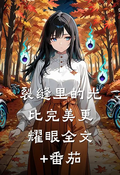 裂缝里的光，比完美更耀眼全文+番茄