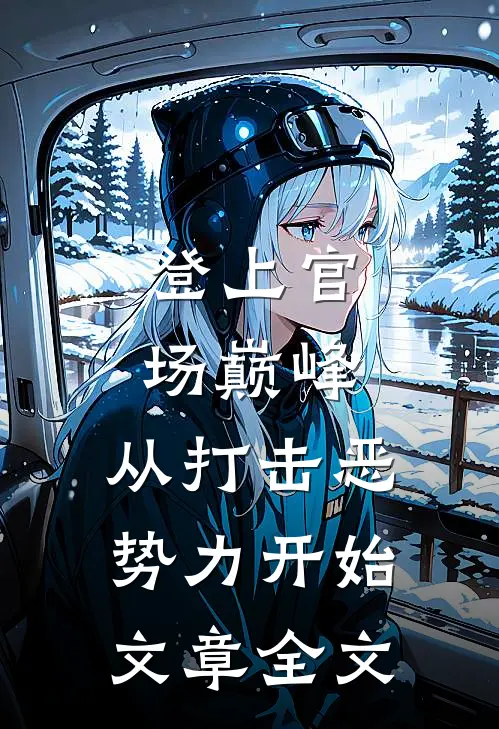 登上官场巅峰，从打击恶势力开始文章全文