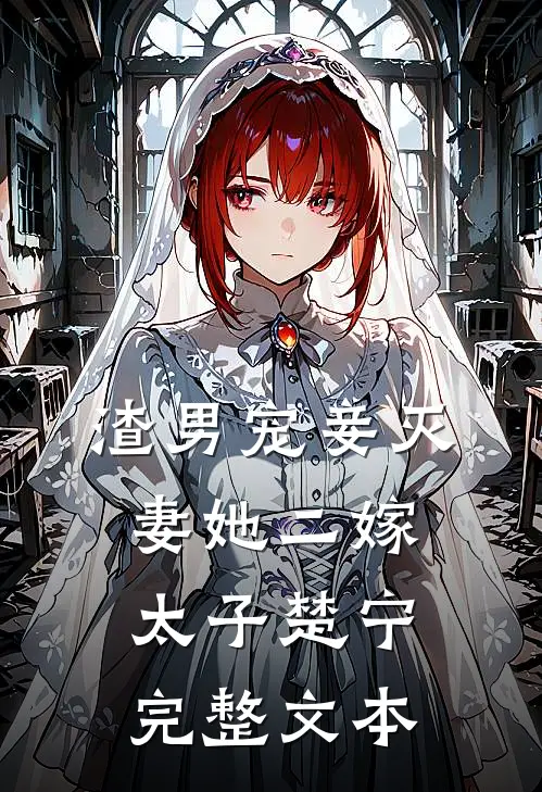渣男宠妾灭妻她二嫁太子楚宁完整文本