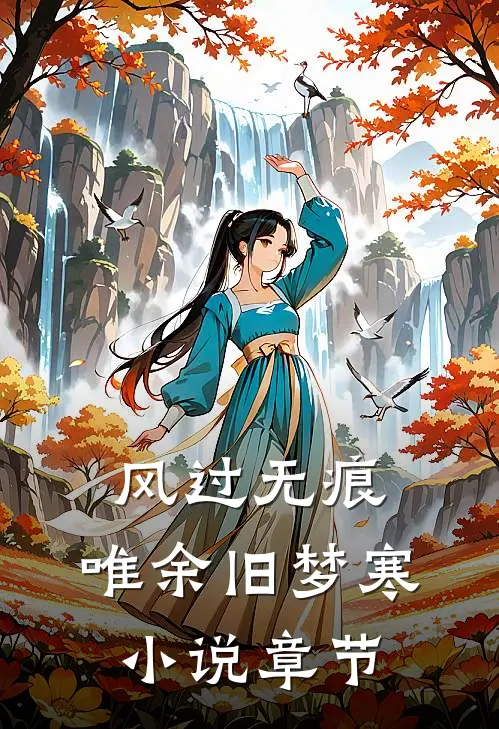 风过无痕，唯余旧梦寒小说章节