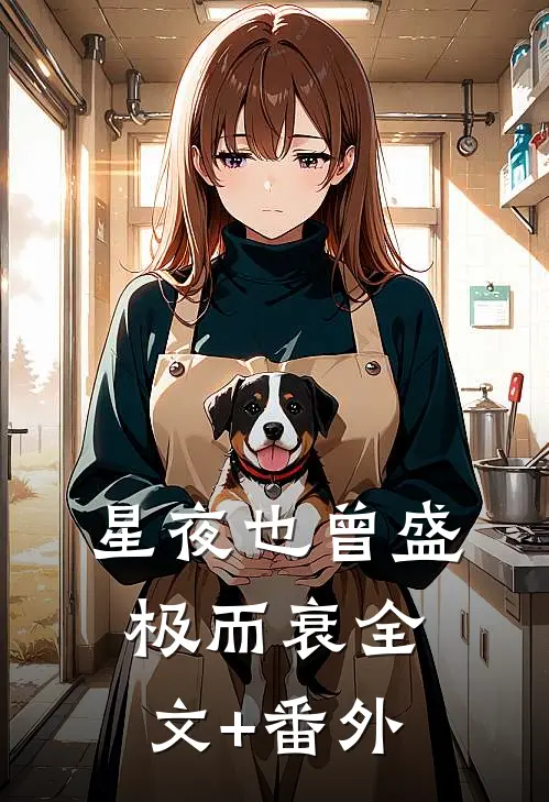 星夜也曾盛极而衰全文+番外