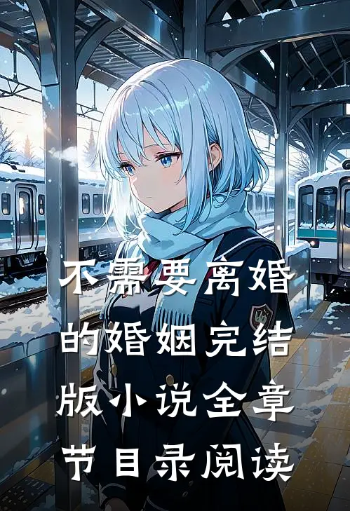 不需要离婚的婚姻完结版小说全章节目录阅读