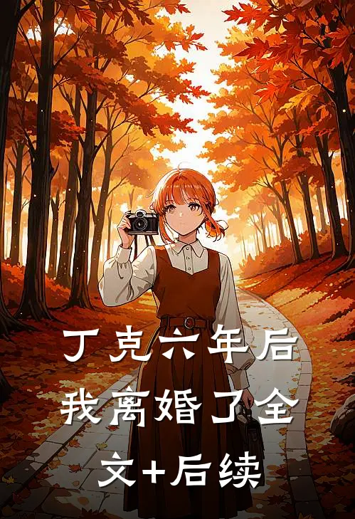 丁克六年后，我离婚了全文+后续
