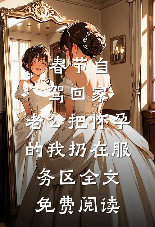 春节自驾回家，老公把怀孕的我扔在服务区全文免费阅读