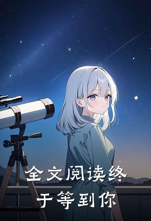 全文阅读终于等到你