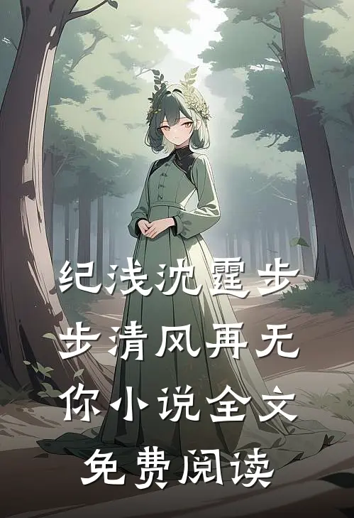 纪浅沈霆步步清风再无你小说全文免费阅读