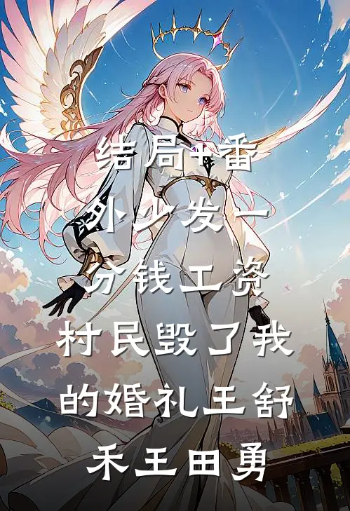 结局+番外少发一分钱工资，村民毁了我的婚礼王舒禾王田勇