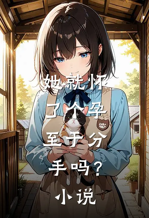 她就怀了个孕，至于分手吗？小说