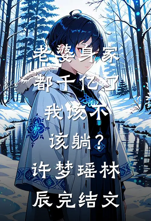 老婆身家都千亿了，我该不该躺？许梦瑶林辰完结文