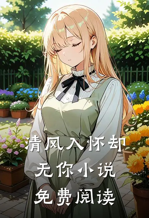 清风入怀却无你小说免费阅读