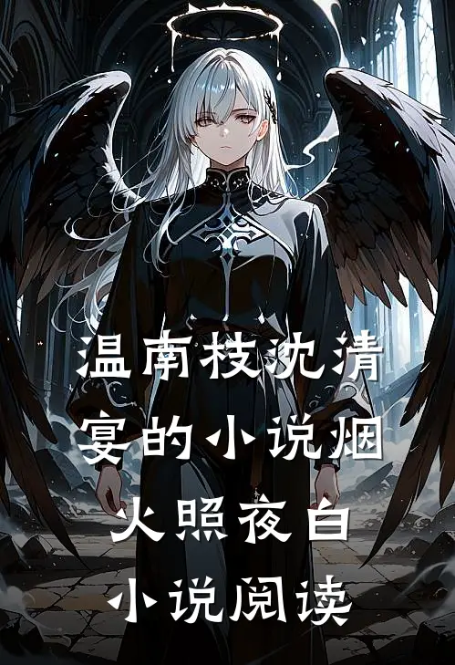 温南枝沈清宴的小说烟火照夜白小说阅读