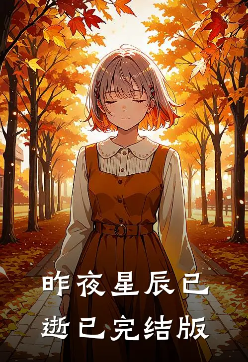 昨夜星辰已逝已完结版