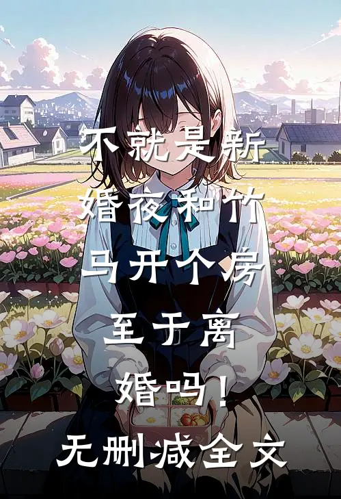 不就是新婚夜和竹马开个房，至于离婚吗！无删减全文