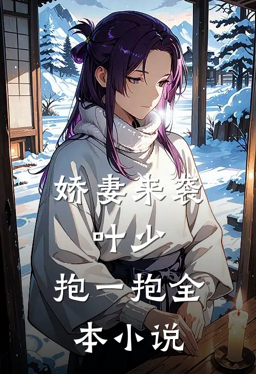娇妻来袭：叶少，抱一抱全本小说