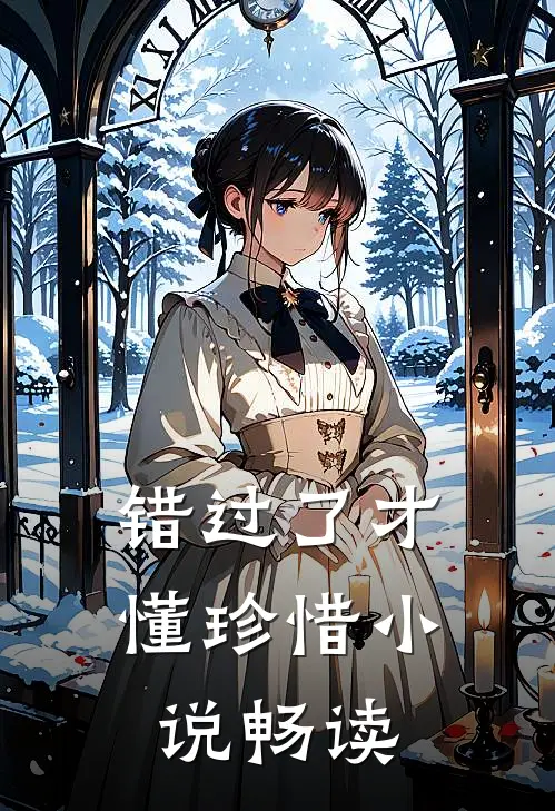 错过了才懂珍惜小说畅读