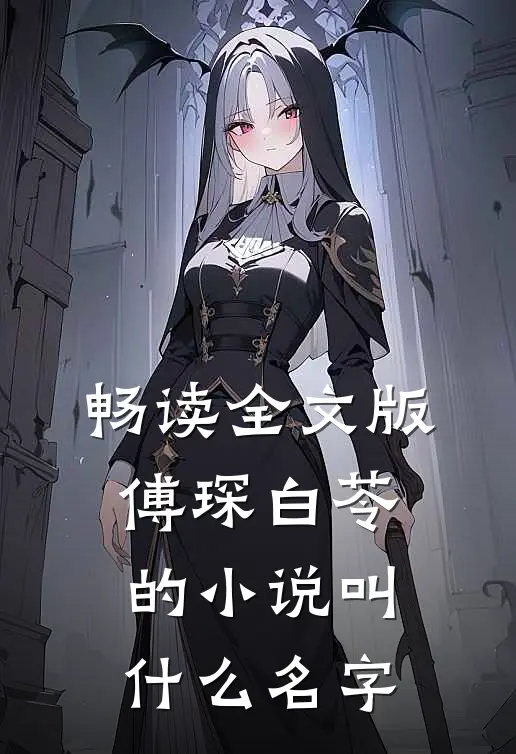 畅读全文版傅琛白苓的小说叫什么名字