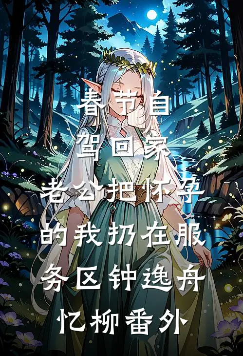 春节自驾回家，老公把怀孕的我扔在服务区钟逸舟忆柳番外