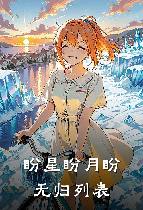 盼星盼月盼无归列表
