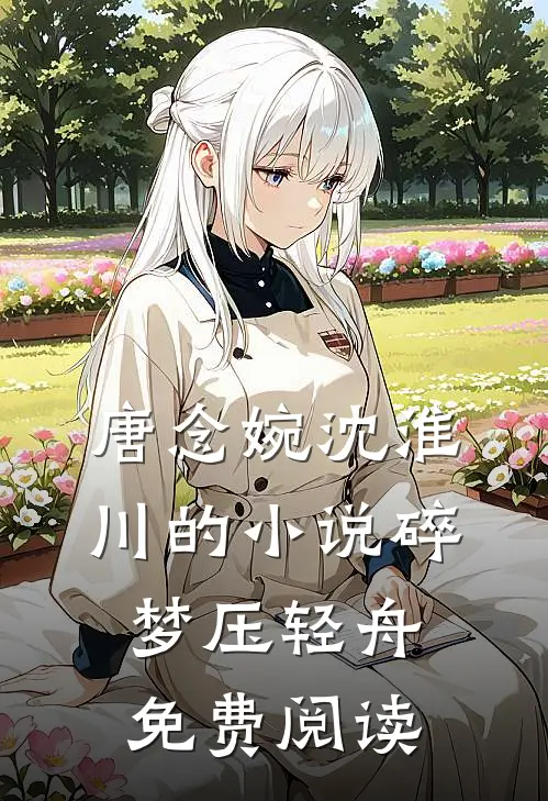 唐念婉沈淮川的小说碎梦压轻舟免费阅读