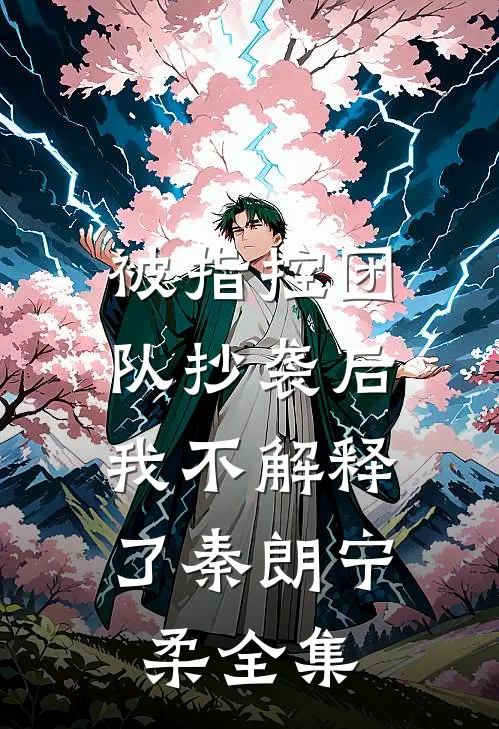 被指控团队抄袭后，我不解释了秦朗宁柔全集