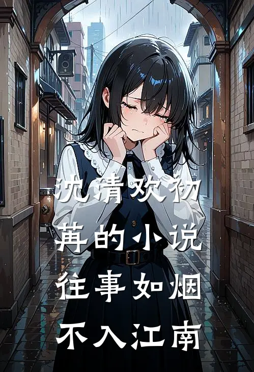 沈清欢初苒的小说往事如烟不入江南
