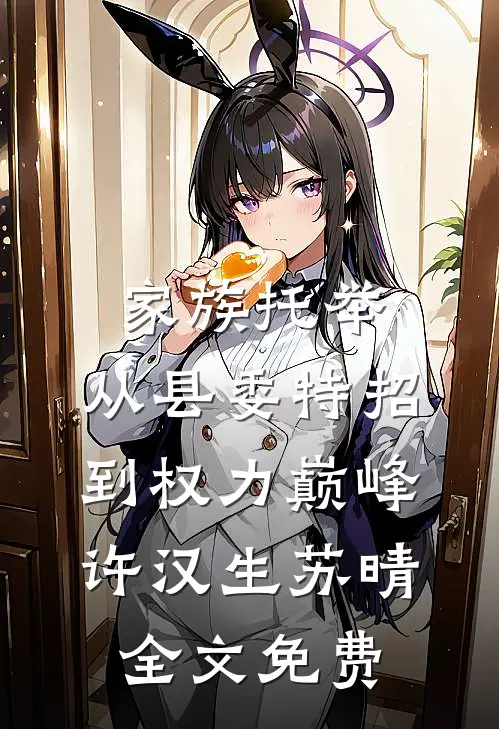 家族托举：从县委特招到权力巅峰许汉生苏晴全文免费