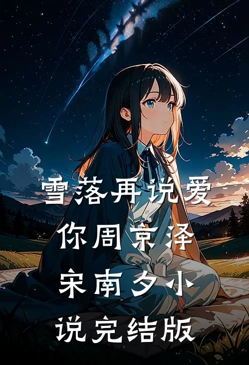 雪落再说爱你周京泽宋南夕小说完结版