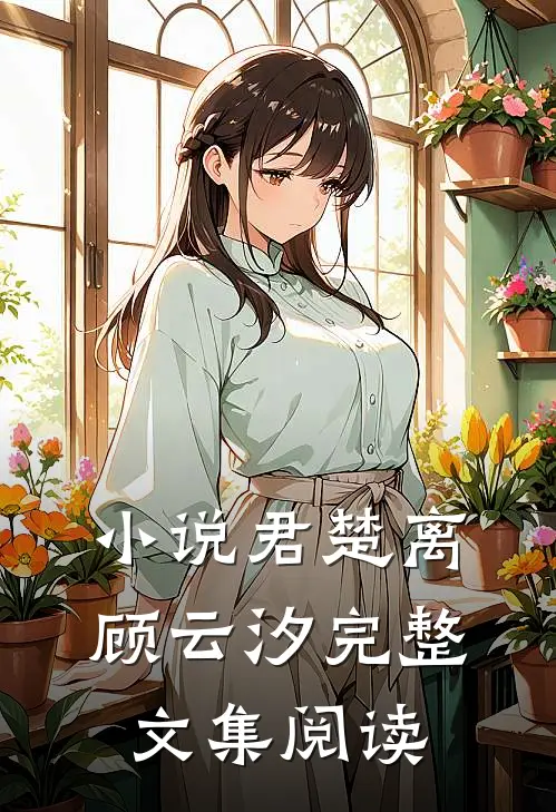 小说君楚离顾云汐完整文集阅读