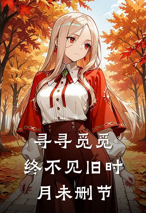 寻寻觅觅，终不见旧时月未删节