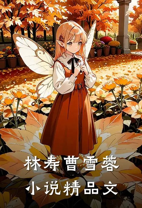 林寿曹雪蓉小说精品文