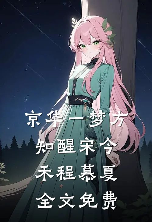 京华一梦方知醒宋今禾程慕夏全文免费