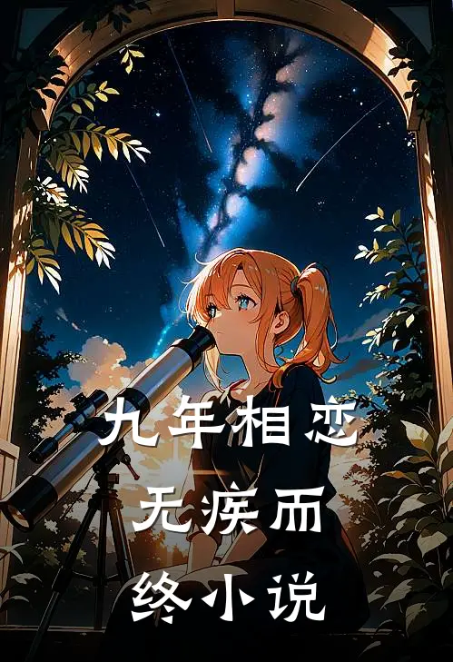 九年相恋，无疾而终小说