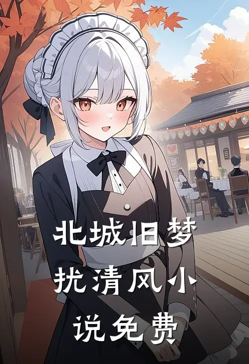 北城旧梦扰清风小说免费